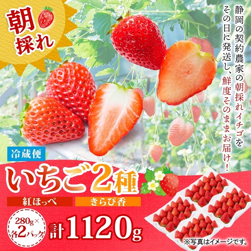 0017-106-03 富士宮市産 いちご 2種セット 紅ほっぺ & きらぴ香 各280g×2P 計1120g