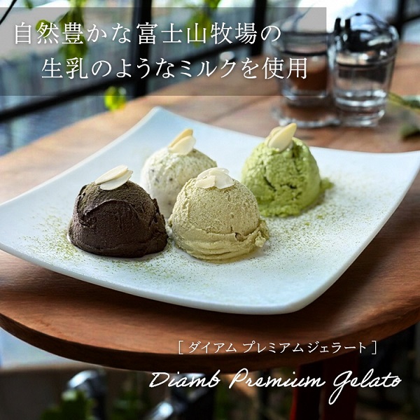 0017-95-04 Diamb Premium Gelato (ダイアムプレミアムジェラート) 100ml×10個 【フレーバー3種：ミルク・チョコ・キャラメル】