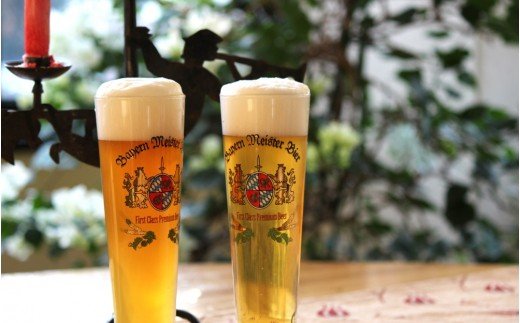 0100-35-01 富士山の水を使った地ビール バイエルンマイスタービール 36本セット