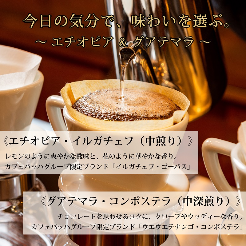 0012-59-04 【カフェバッハグループ限定】粉・エチオピア＆グアテマラ｜中煎り・中深煎り｜赤富士珈琲｜利き珈琲チャンピオン厳選