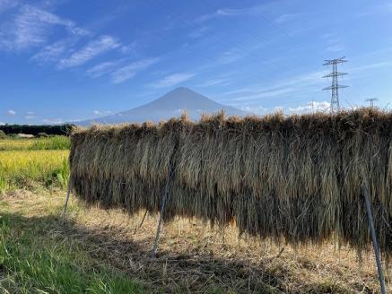 0018-84-01　なにもいれずに育てた米、大豆で作った自家製みそ