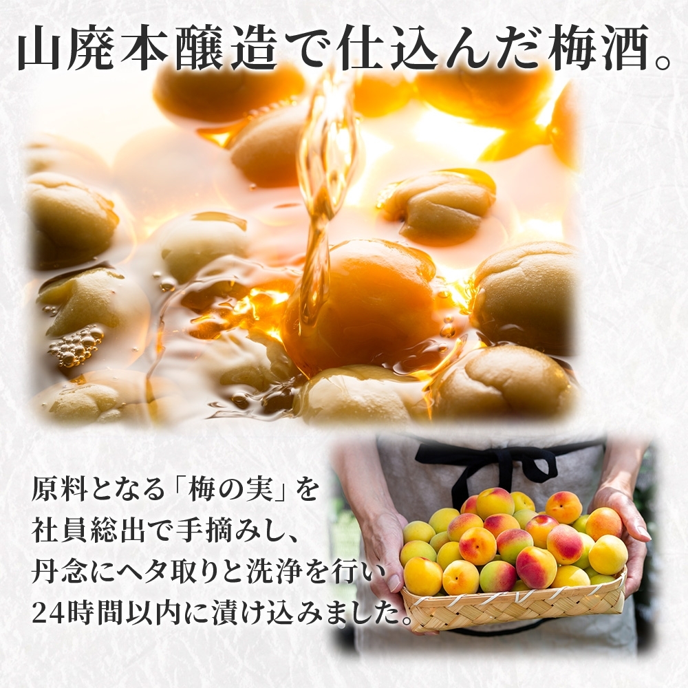 0009-106-01 高砂 山廃梅酒 500ml