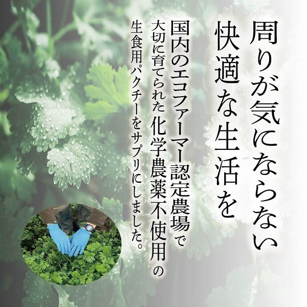 0011-99-02 パクチーエナジーゴールド 60粒×1袋 (20日分)