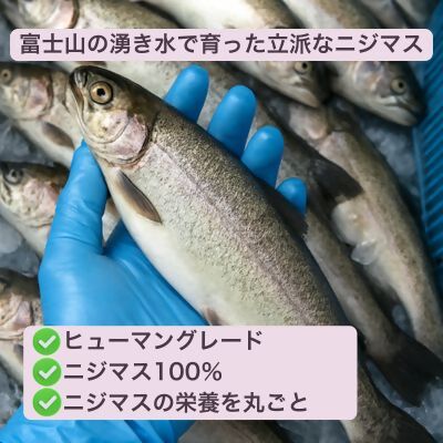 0012-111-01 WILD KITCHEN 犬猫用ニジマスジャーキー ジャンボパック (ぶつ切り100g)