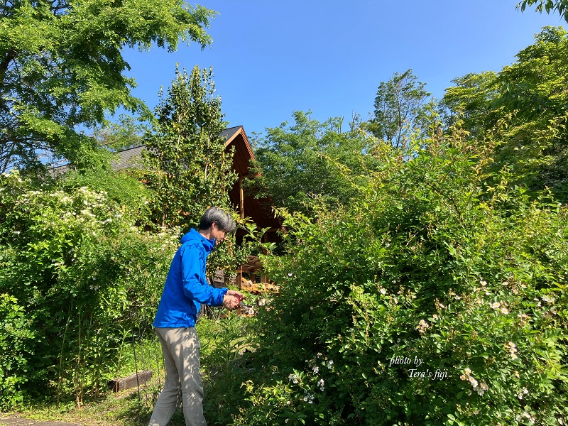 0018-102-01 ワイルドローズ フローラルウォーター TERA'S FUJI テラスフジ