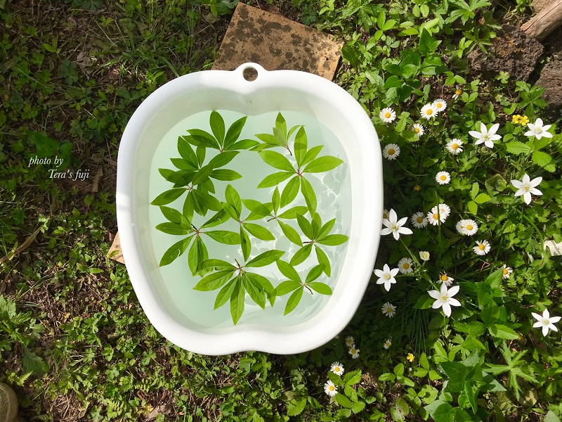 0047-102-01 【女性限定】富士山の麓で創られた植物療法トリートメント 130分コース TERA'S FUJI テラスフジ