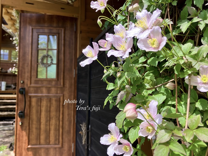 0059-102-01 【女性限定】富士山の麓で創られた植物療法トリートメント 160分コース TERA'S FUJI テラスフジ