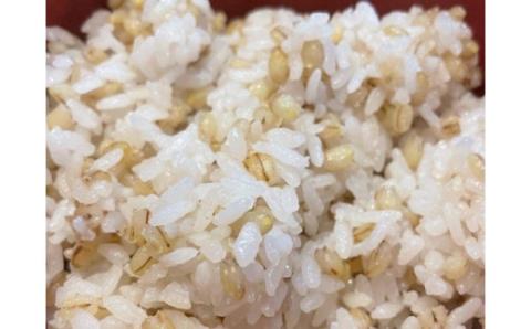 0023-18-01 富士山麓オーガニックファーマーズ もち麦 きはだもち 1kg×3袋セット