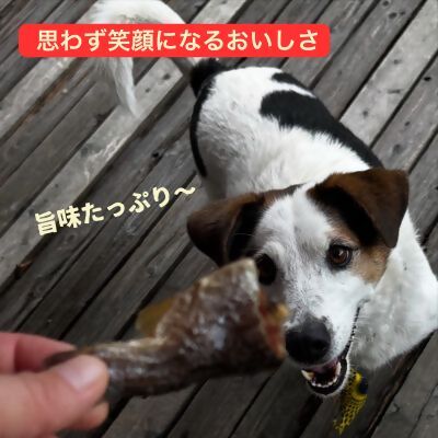 0006-111-02 WILD KITCHEN 犬猫用ニジマスジャーキー 粉末タイプ (ふりかけ)