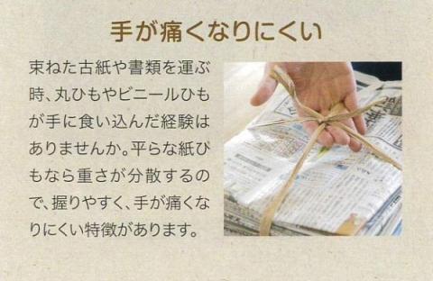 0010-78-01 平ひも ひらりS 100m 6巻入