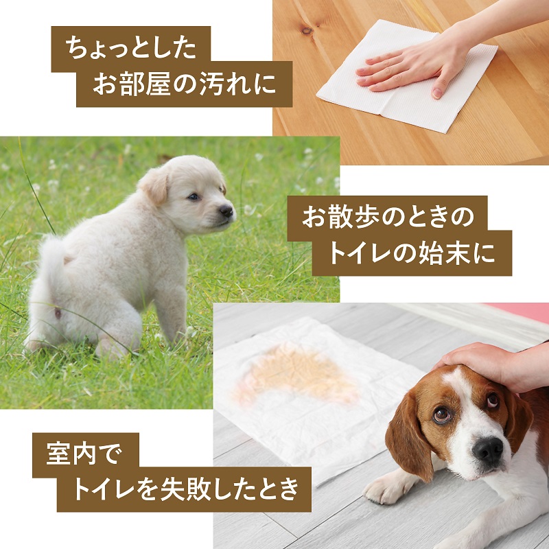 0011-107-02 マスコー製紙 ペットのトイレットペーパー ペットめちゃラク 100組×30個