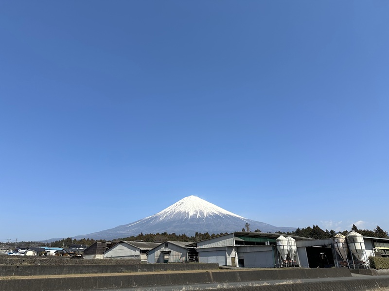 0015-110-01 富士山竹川牛 サーロインステーキ 165g×1枚 & リブロース焼肉 195g