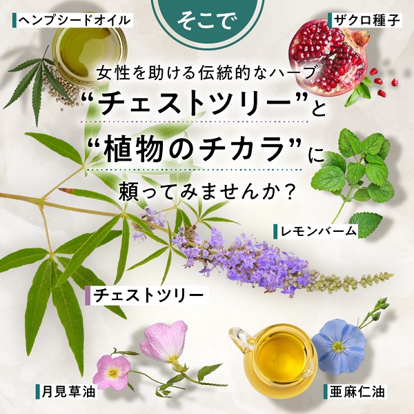 0020-101-03 ILUS ルナハーブ 6袋 (6ヶ月)