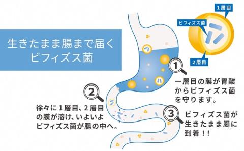 0031-57-01 ビフィドフローラ 30袋×2箱セット