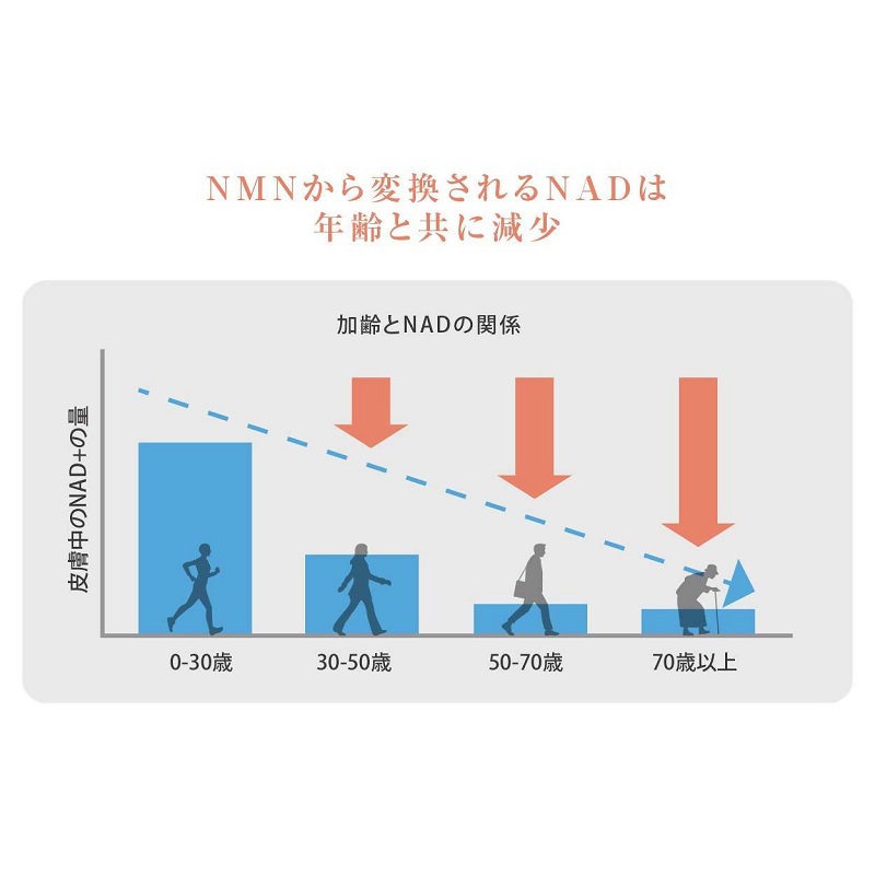0060-105-01 NMN サプリメント 20000mg 日本製 国内製造 GABA ボタンボウフウ 5-ALA 核酸 ビタミンE ビタミンC クエン酸 鉄 Na 葉酸 daina NMN+ 90粒 30日 2本