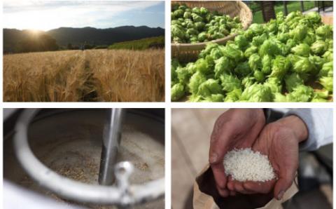 0015-47-01 フジヤマハンターズビール おまかせビール 350ml×6本セット