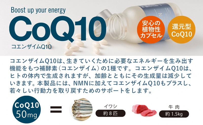 0600-57-01 NMN15000 plus CoQ10 (15,000mgの高配合) ×3箱