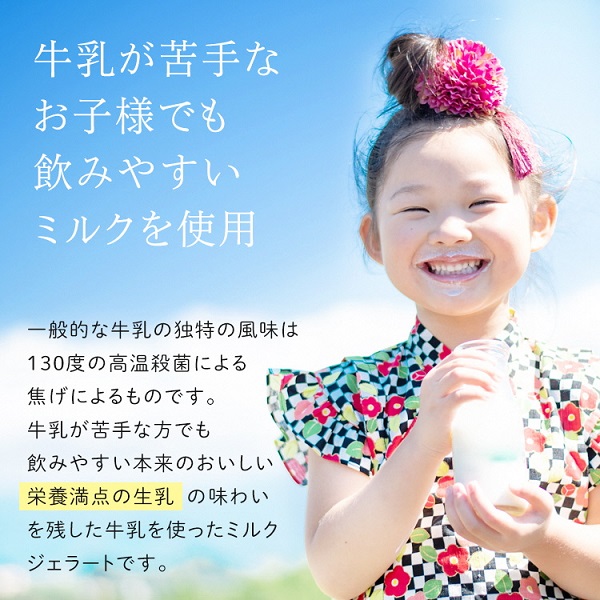 0012-95-01 Diamb Premium Gelato (ダイアムプレミアムジェラート) 100ml×6個 【6種の味】