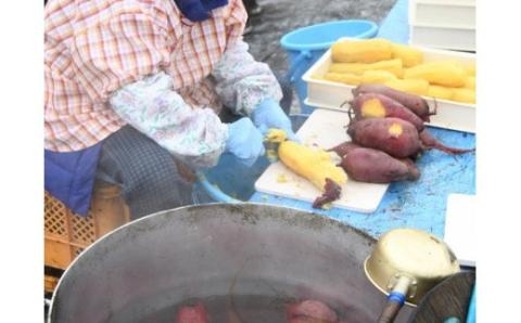 0015-61-02 富士山麓 干し芋 160g×5袋