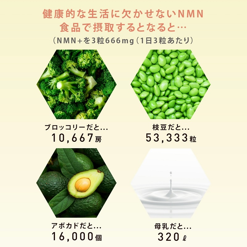 0030-105-01 NMN サプリメント 20000mg 日本製 国内製造 GABA ボタンボウフウ 5-ALA 核酸 ビタミンE ビタミンC クエン酸 鉄 Na 葉酸 daina NMN+ 90粒 30日