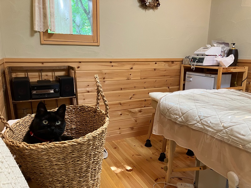 0047-102-01 【女性限定】富士山の麓で創られた植物療法トリートメント 130分コース TERA'S FUJI テラスフジ