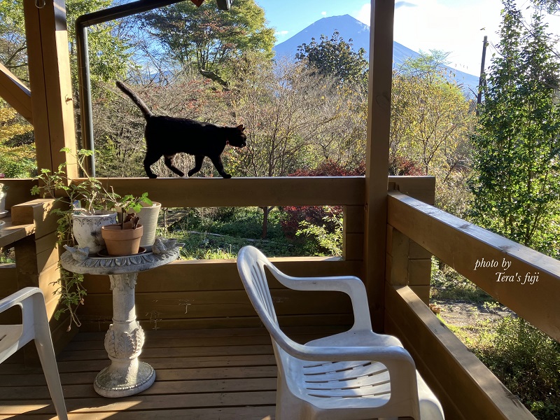 0026-102-01 クロモジ ハーブウォーター TERA'S FUJI テラスフジ