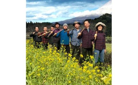 0016-18-01.富士山麓オーガニックファーマーズ　旬の野菜セット