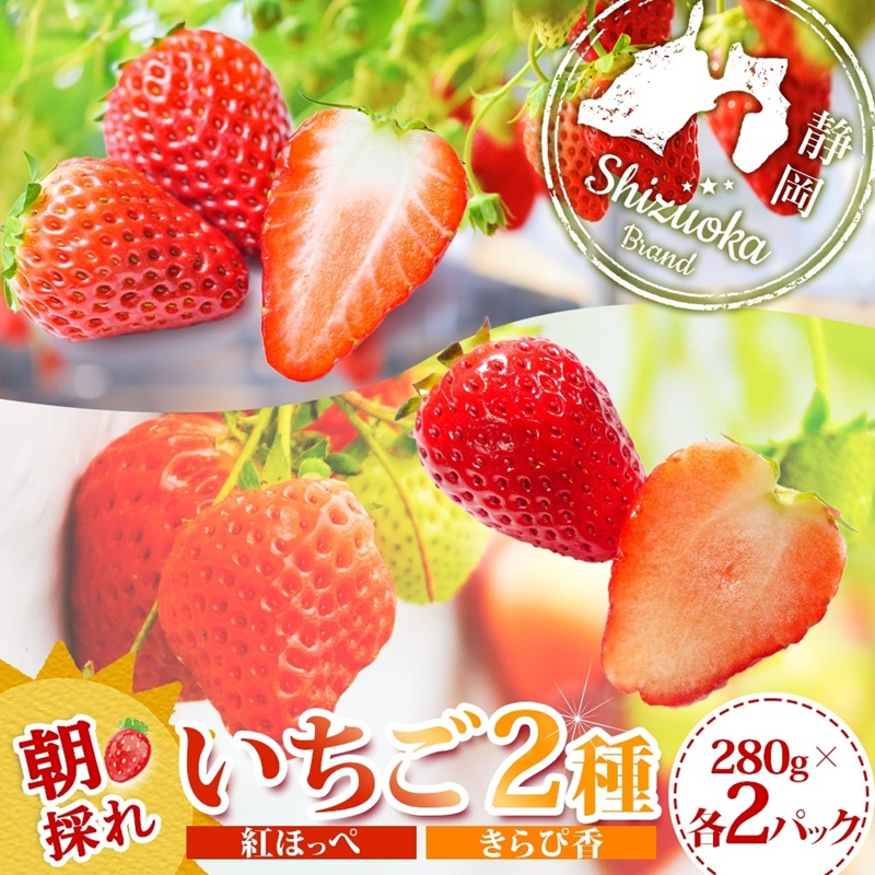 0017-106-03 富士宮市産 いちご 2種セット 紅ほっぺ & きらぴ香 各280g×2P 計1120g