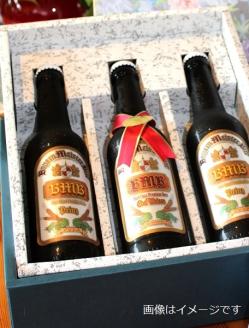 0012-35-01 富士山の水を使った地ビール バイエルンマイスタービール ギフト3本セット
