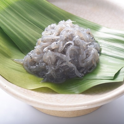 極冷生シラス100g×10p【化粧箱入】【配送不可地域：離島】