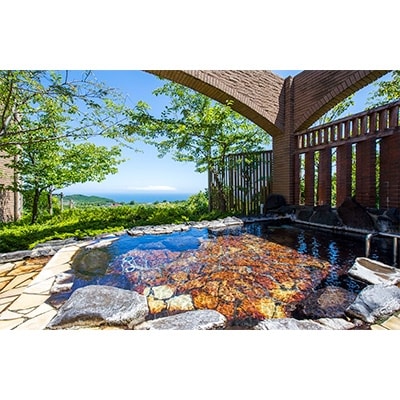 【平日1泊2日素泊り】全室オーシャンビュースイート　ヴィラージュ伊豆高原　ペア宿泊券