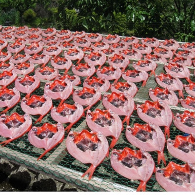 天日干しひもの詰合せ【配送不可地域：離島】