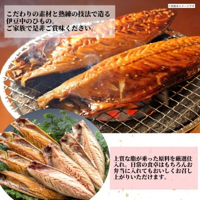 【伊東加工・職人手開き】鯖ひもの食べ比べ【配送不可地域：離島】