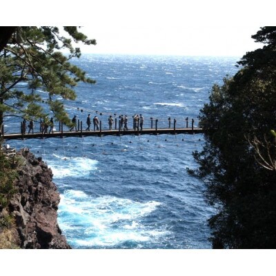 旅する伊豆高原応援パス 2,000円チケット 15枚セット