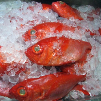 金目鯛塩こうじ漬 詰合せ【配送不可地域：離島】