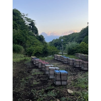 伊豆産ハチミツレモンシロップ