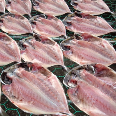 【毎月定期便】真あじ　天日干しひもの　詰合せ(18枚入)全3回【配送不可地域：離島】