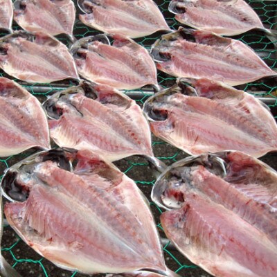 【毎月定期便】真あじ　天日干しひもの　詰合せ(18枚入)全6回【配送不可地域：離島】