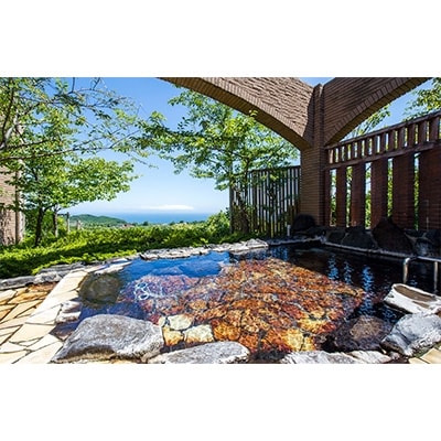 【平日1泊2日2食付】全室オーシャンビュースイート　ヴィラージュ伊豆高原　ペア宿泊券