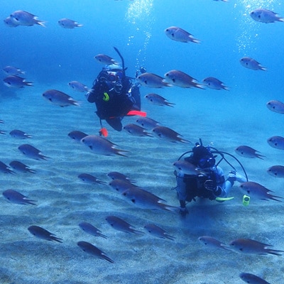 伊東・城ヶ崎の海で初級ダイビングライセンスが取得できる　2日コース