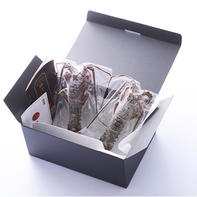 極冷伊勢海老約300g×2尾【配送不可地域：離島】