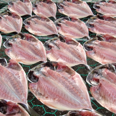 天日干しひもの詰合せ【配送不可地域：離島】