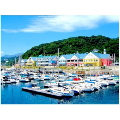 道の駅 伊東マリンタウンのスパ入浴・食事＆楽食事　共通券　3,000円分