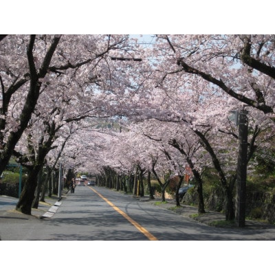 旅する伊豆高原応援パス 2,000円チケット 5枚セット