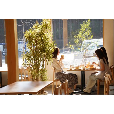 静岡県伊東市【奏の森リゾート】奏の森Resortsのカルムでも使える商品券3,000円分