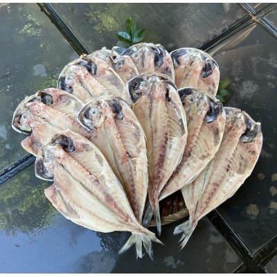 訳あり!　長崎あじ天日干しひもの 10枚!【配送不可地域：離島】