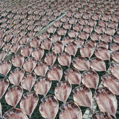 【毎月定期便】真あじ　天日干しひもの　詰合せ(18枚入)全6回【配送不可地域：離島】