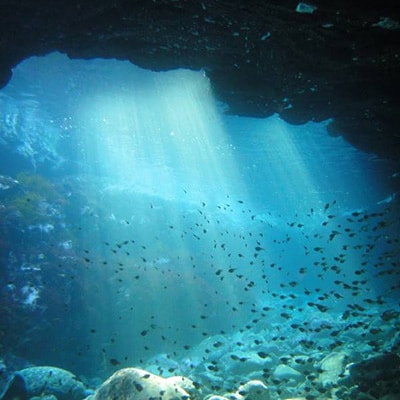 親子で、カップルで! ペアチケット～伊東・城ヶ崎の海で1日体験ダイビング(水中記念写真プレゼント付)