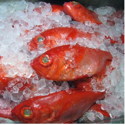 【数量・期間限定】金目鯛 天日干しひもの 2枚 詰合せセット　ご家庭で大活躍のお魚　伊東市人気の海鮮【配送不可地域：離島】