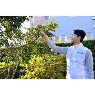 空き家管理サービス 3ヶ月:ライトプラン【屋外】